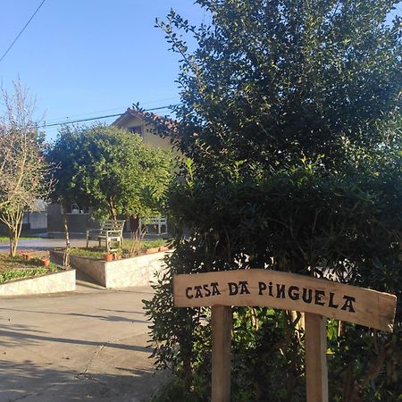 Casa Da Pinguela Camino Ingles Villa Ordes Eksteriør billede