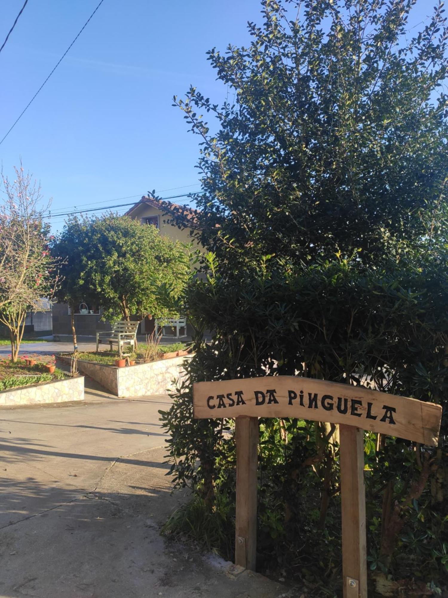 Casa Da Pinguela Camino Ingles Villa Ordes Eksteriør billede